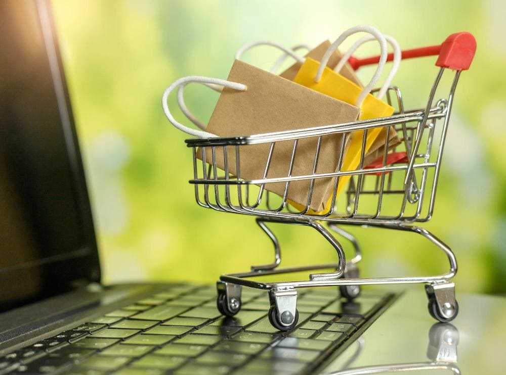 Dedicated Technical Guardianship: Expert Support for Your Online Store